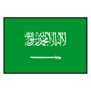 Saudi Arabia logo