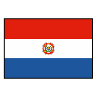Paraguay logo
