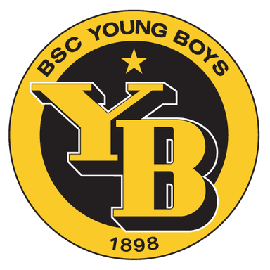 Young Boys logo