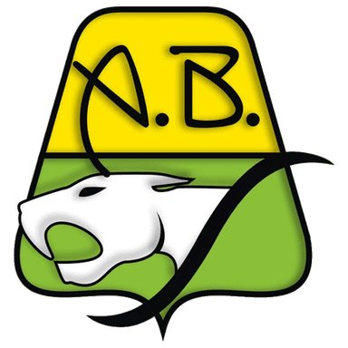 Bucaramanga logo